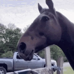 ⚠️ You have alerted the horse.