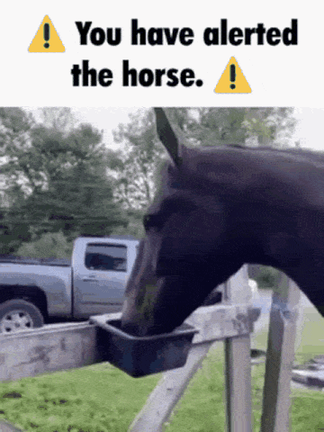 You have alerted the horse.